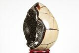 Septarian Dragon Egg Geode - Black Crystals #191481-1